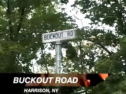Sign for Buckout Road in Harrison, NY, surrounded by greenery.