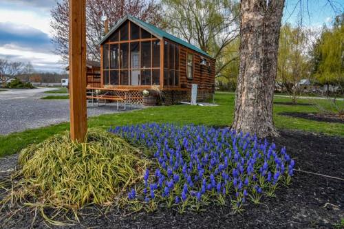 A cozy cabin with a screened porch surrounded by vibrant blue flowers and lush greenery.
