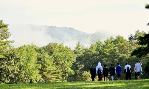 A group of people walking towards misty mountains, surrounded by lush greenery and trees.