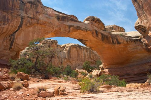 Natural rock arch surrounded by desert landscape, with shrubs and blue sky in the background.