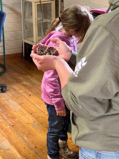 A person holds a small animal in their hands while two children observe nearby in a cozy indoor setting.