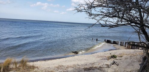 A serene beach scene with gentle waves, sandy shore, and a few scattered trees under a blue sky with clouds.
