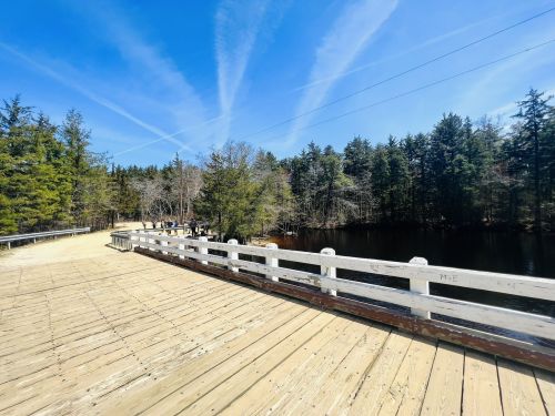 A wooden walkway leads to a serene pond, surrounded by trees under a clear blue sky with wispy clouds.