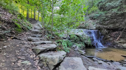 A serene forest path with stone steps leading to a small waterfall and a tranquil pool surrounded by lush greenery.