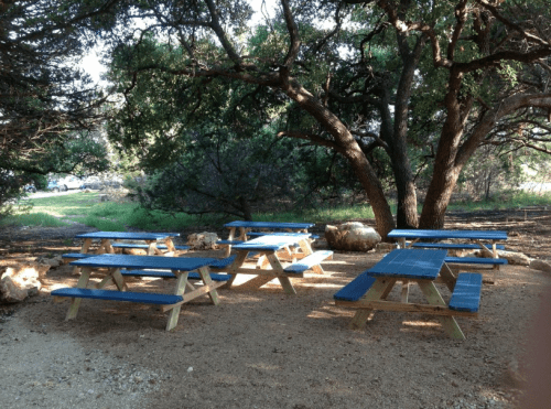 A shaded outdoor area with several blue picnic tables under large trees.