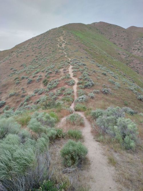 A winding dirt path leads up a grassy hill, surrounded by sparse vegetation and rolling terrain under a cloudy sky.