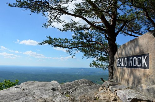 A scenic view from Bald Rock, featuring a rocky outcrop and a tree against a backdrop of rolling green hills and blue sky.