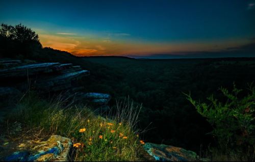A sunset over a lush green valley, with wildflowers in the foreground and rocky cliffs in silhouette.