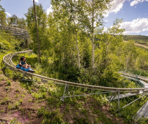 A person rides a mountain coaster on a winding track surrounded by lush greenery and trees under a blue sky.