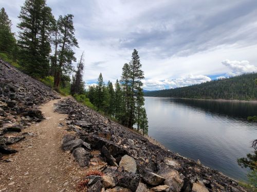 A rocky path along a serene lake, surrounded by tall trees and a cloudy sky.