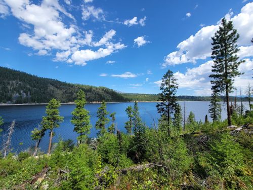 A serene lake surrounded by lush green trees under a bright blue sky with scattered clouds.
