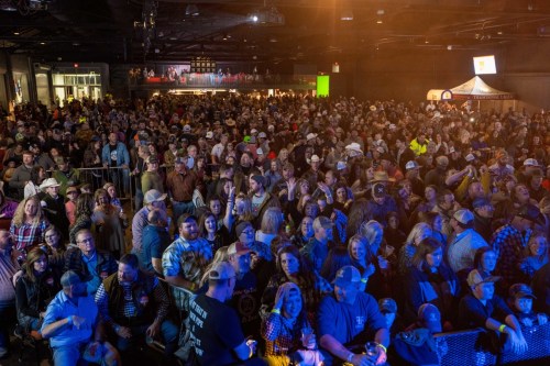 A large crowd of people enjoying a concert, with colorful lights and a lively atmosphere.