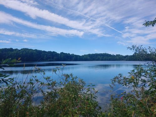 A serene lake surrounded by greenery under a blue sky with wispy clouds.