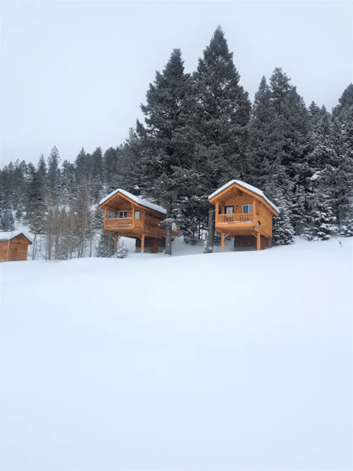 Two wooden cabins surrounded by snow-covered trees in a winter landscape.