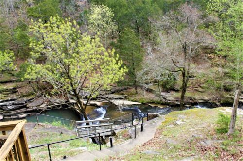 A serene view of a river winding through a forest, with steps leading down to the water and lush greenery surrounding.