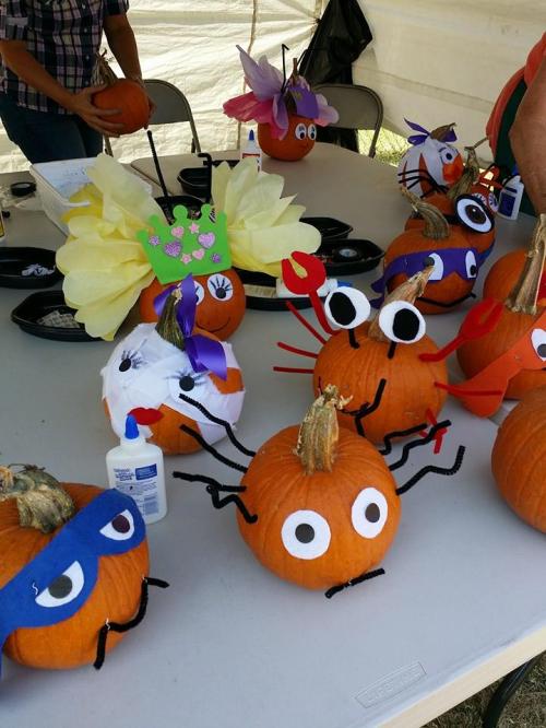 A table with creatively decorated pumpkins, featuring various characters and designs, under a tent.
