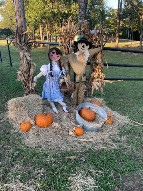 A scarecrow and a doll in a fall setting, surrounded by pumpkins and hay bales, with trees in the background.