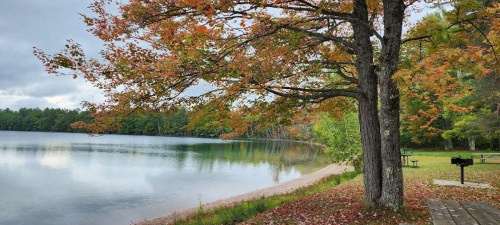A serene lake surrounded by trees with autumn foliage, reflecting the colorful leaves on the water's surface.