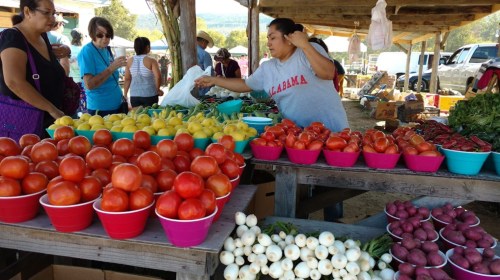 A vibrant farmers market with colorful fruits and vegetables displayed in baskets, and shoppers interacting with vendors.