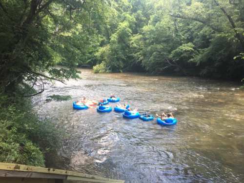 A group of people floating on blue inner tubes down a river surrounded by lush green trees.