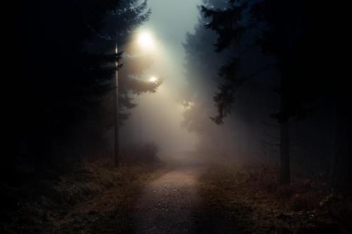 A dimly lit path through a foggy forest, illuminated by street lamps, surrounded by dark trees.
