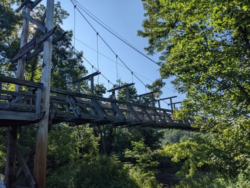 A wooden suspension bridge surrounded by lush green trees under a clear blue sky.