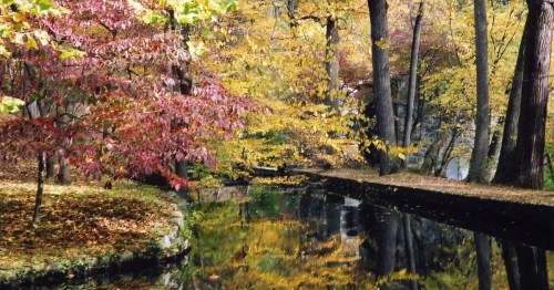 A serene autumn scene with colorful trees reflecting in a calm waterway.