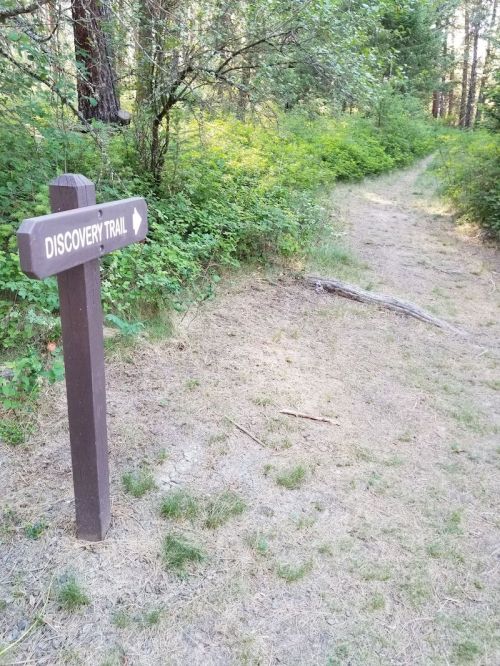 A wooden sign points to the Discovery Trail, surrounded by lush greenery and a dirt path leading into the forest.