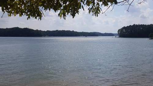 A serene lake view with sparkling water, surrounded by lush greenery and a cloudy blue sky.