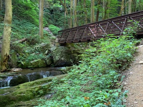 A wooden bridge spans a small stream in a lush, green forest with rocky terrain and vibrant foliage.