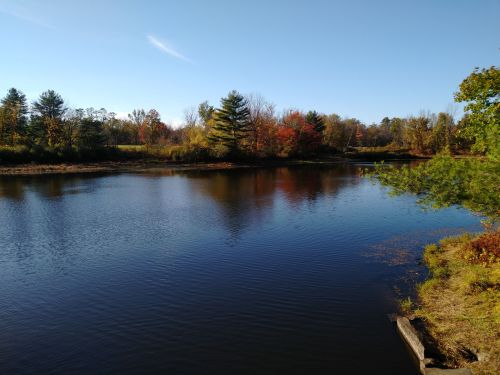 A calm river reflects trees with autumn foliage under a clear blue sky.