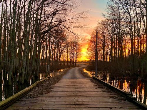 A wooden path leads through trees at sunset, reflecting in calm water on either side.