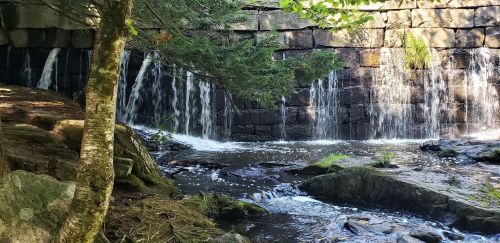 A serene scene of a stone wall with cascading waterfalls, surrounded by lush greenery and a calm stream.
