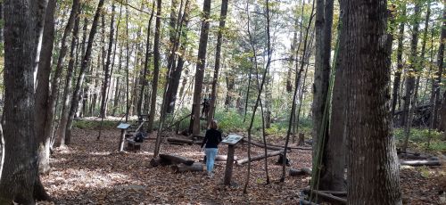 Two people explore a wooded area with trees and informational signs, surrounded by autumn foliage and fallen leaves.