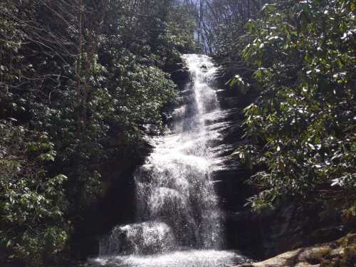 A cascading waterfall surrounded by lush green foliage and trees in a serene natural setting.