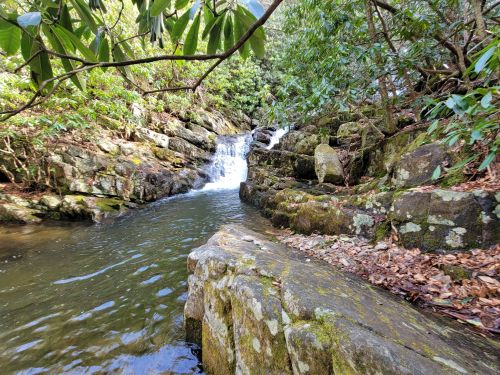 A serene stream flows over rocks, surrounded by lush greenery and trees, creating a peaceful natural scene.