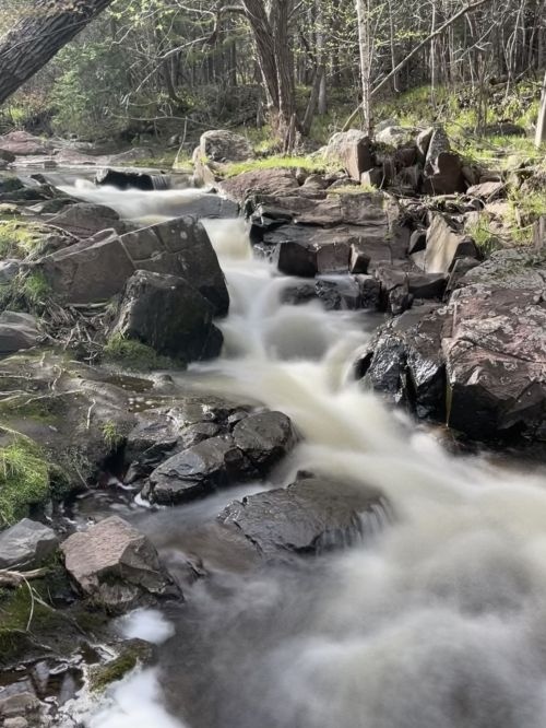 A serene stream flows over smooth rocks, surrounded by lush greenery and trees in a peaceful natural setting.