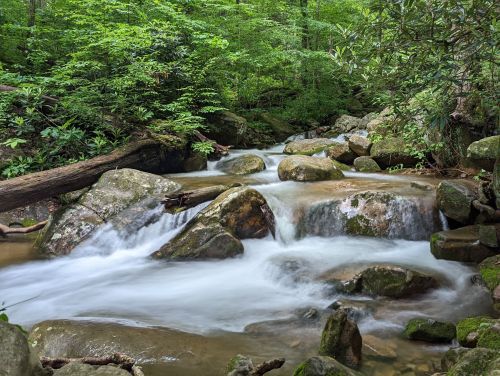 A serene stream flows over smooth rocks, surrounded by lush green foliage in a tranquil forest setting.