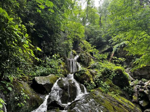 A serene waterfall cascading over moss-covered rocks, surrounded by lush green foliage and trees.