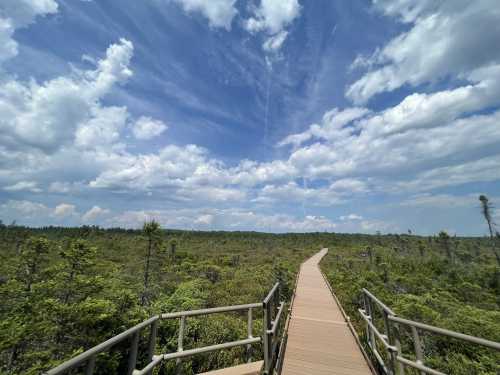 A wooden boardwalk leads through a lush green landscape under a bright blue sky with fluffy clouds.