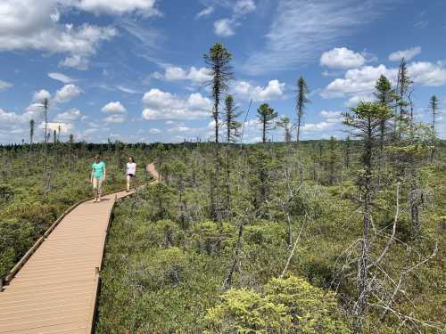 Two people walk along a wooden boardwalk through a lush, green wetland with scattered trees and a blue sky.