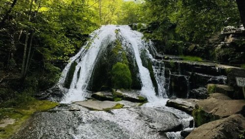 A serene waterfall cascades over rocky ledges, surrounded by lush green trees and foliage.