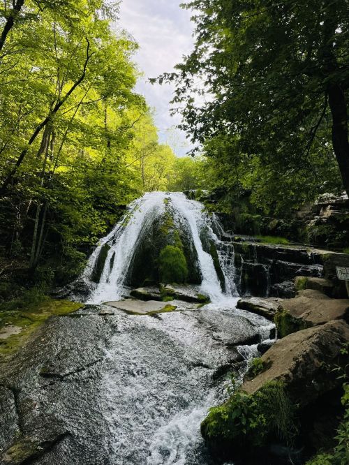 A serene waterfall cascades over rocks, surrounded by lush green trees and a clear blue sky.