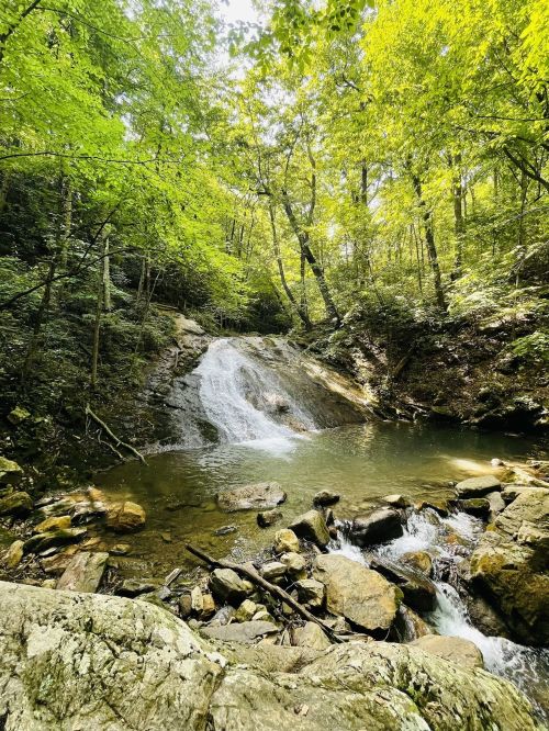 A serene waterfall cascades into a clear pool, surrounded by lush green trees and rocky terrain.
