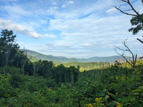 A scenic view of rolling green mountains under a blue sky with scattered clouds, framed by trees and foliage.