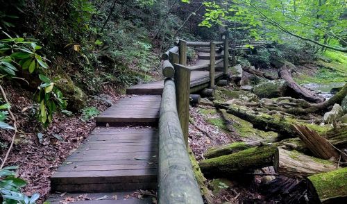 A wooden pathway winds through a lush, green forest, surrounded by trees and moss-covered rocks.
