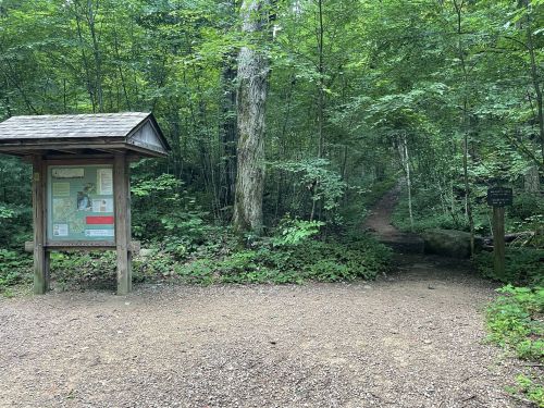 A forested trail entrance with a wooden information sign and a path leading into the greenery.