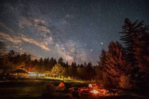 A starry night sky over a forest campsite, featuring a glowing campfire and a tent in the foreground.