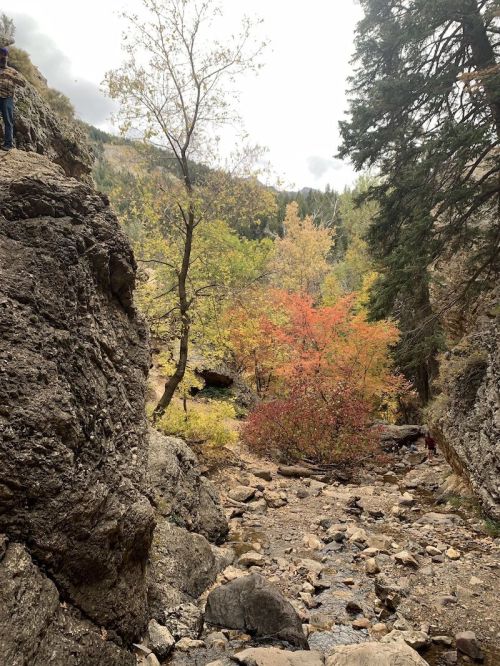 A rocky landscape with a stream, surrounded by trees displaying autumn colors. A person stands on a ledge above.