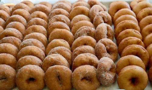 A tray of freshly made donuts, arranged in neat rows, some coated in sugar and others plain.